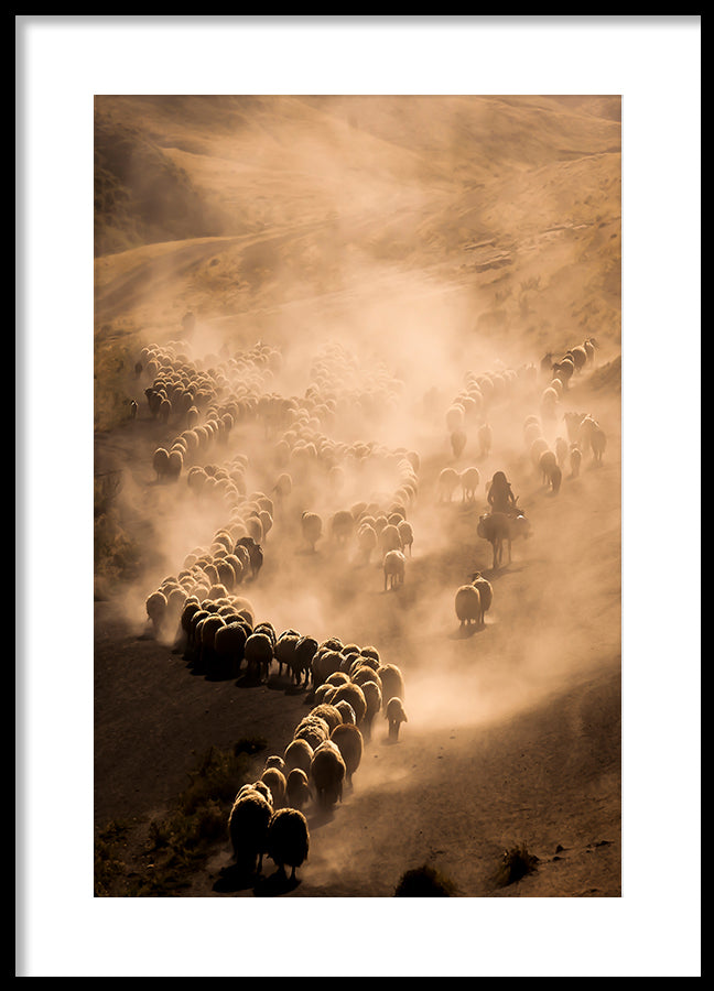Poster - Walk in the Dawn