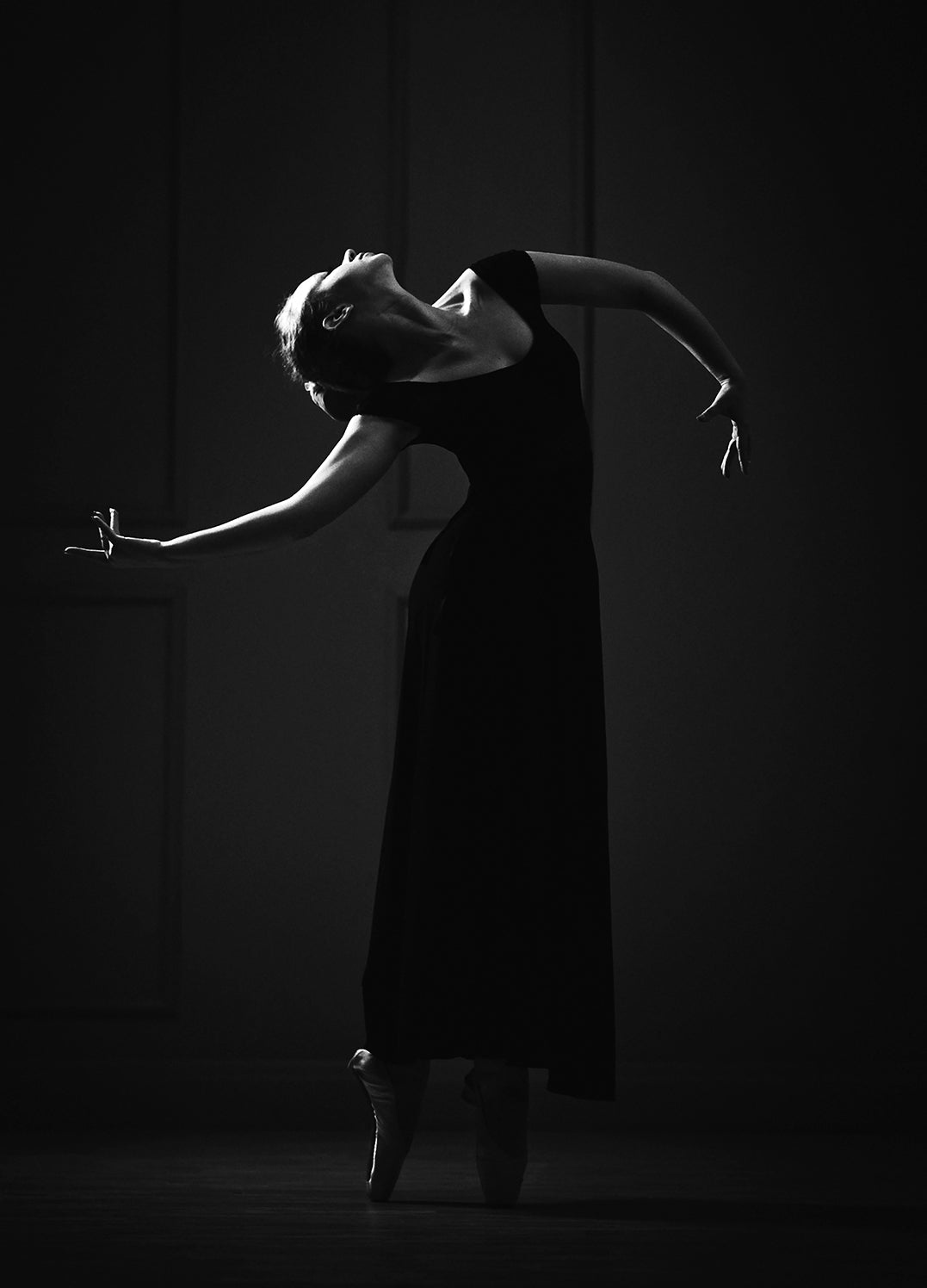 Canvastavla - Dancing in the Shadows
