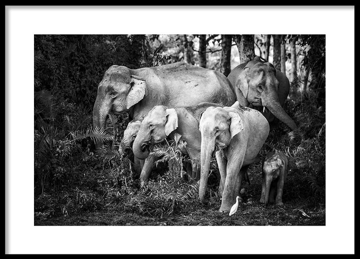 Poster - Family