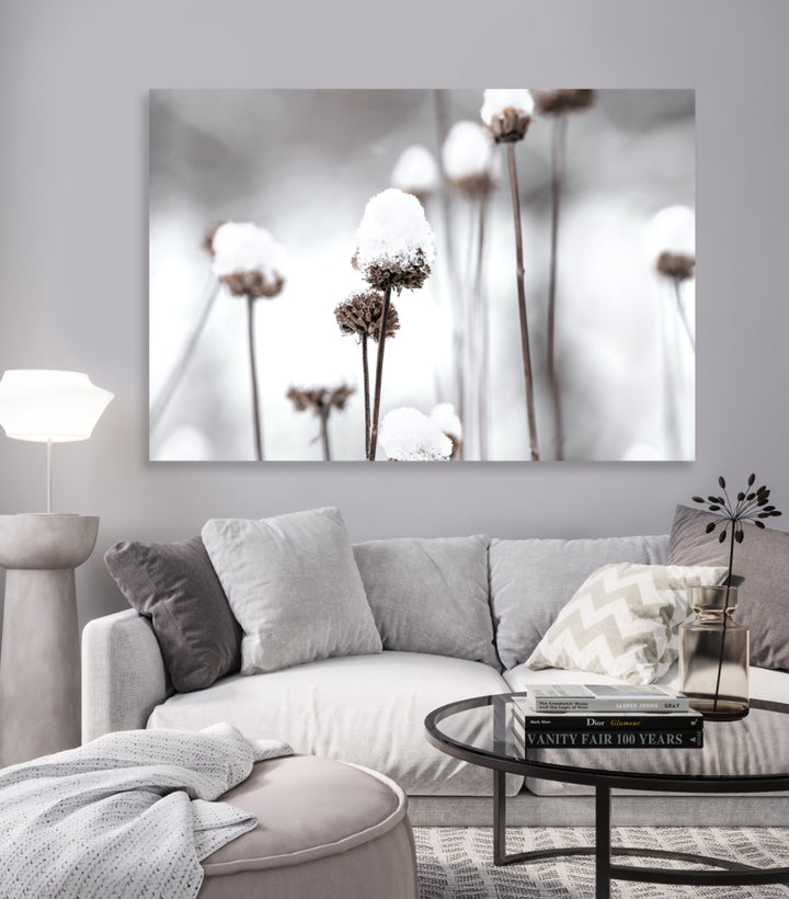 Tavla - Dandelions and Snow