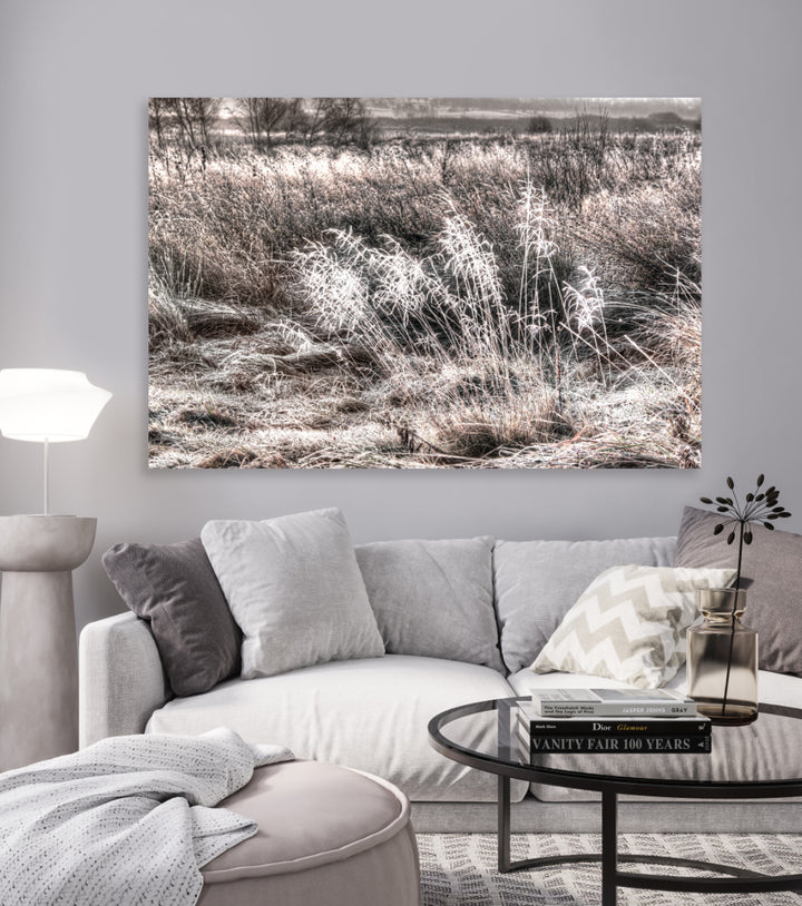 Tavla - Winter Field