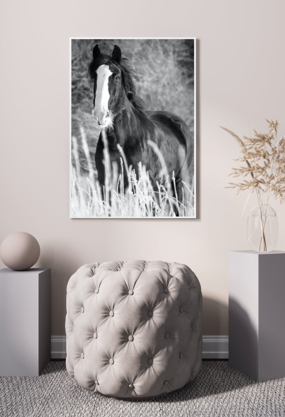Poster - Birk