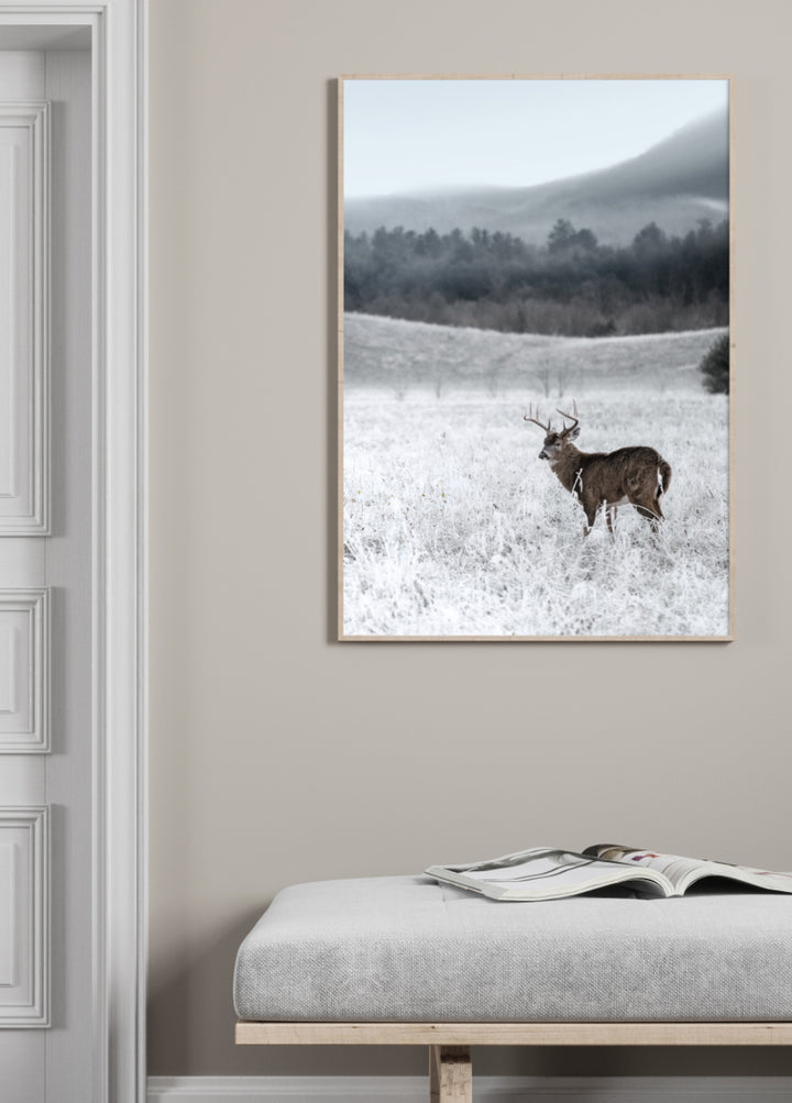 Poster - Steppe