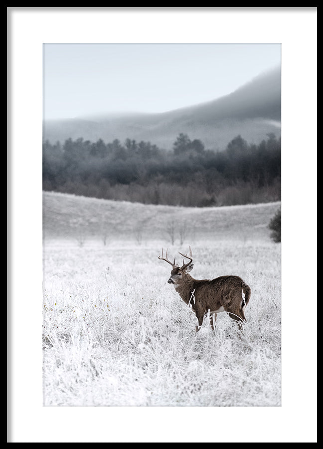 Poster - Steppe