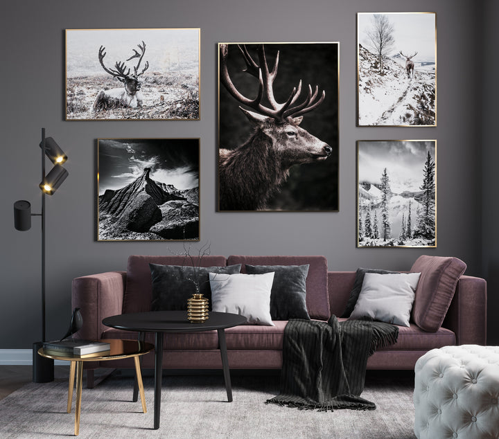 Poster - Stately