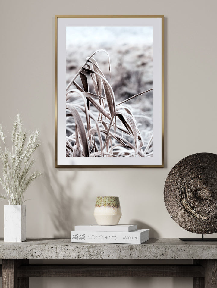 Poster - Cold Nature