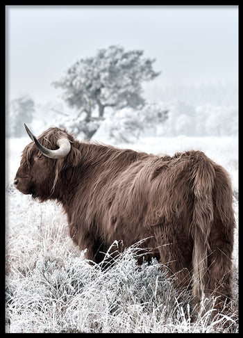 Poster - Highland