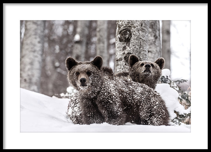 Poster - Snowplay