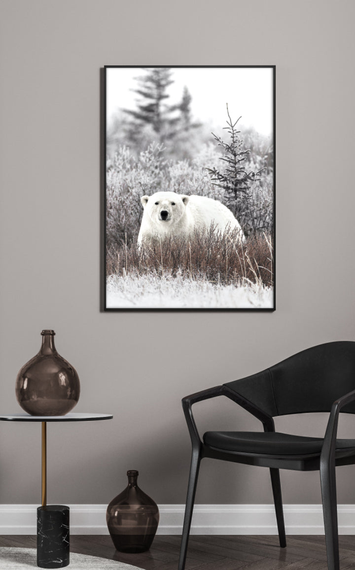 Poster - Polar