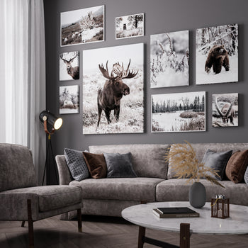 Poster - Polar