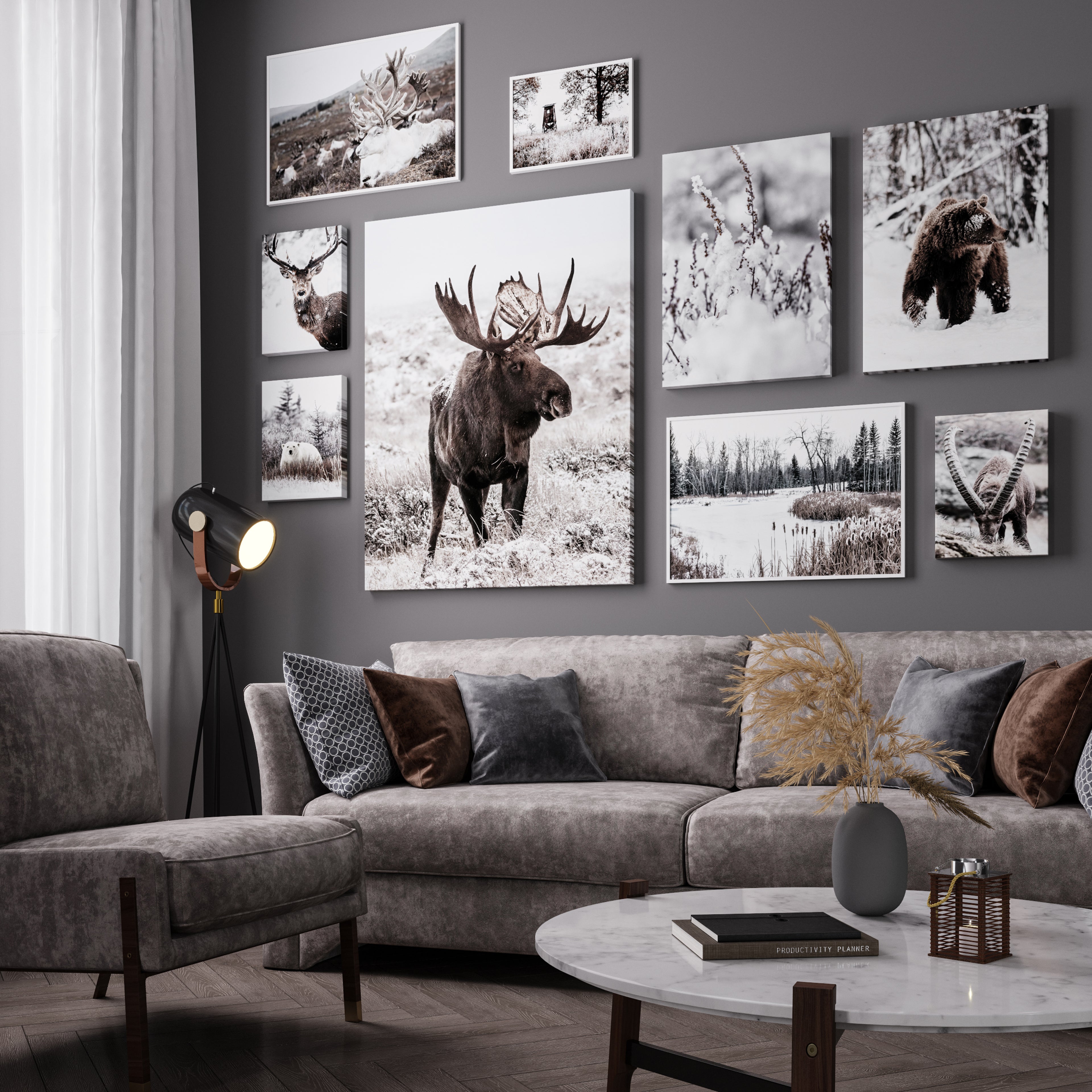 Poster - Polar