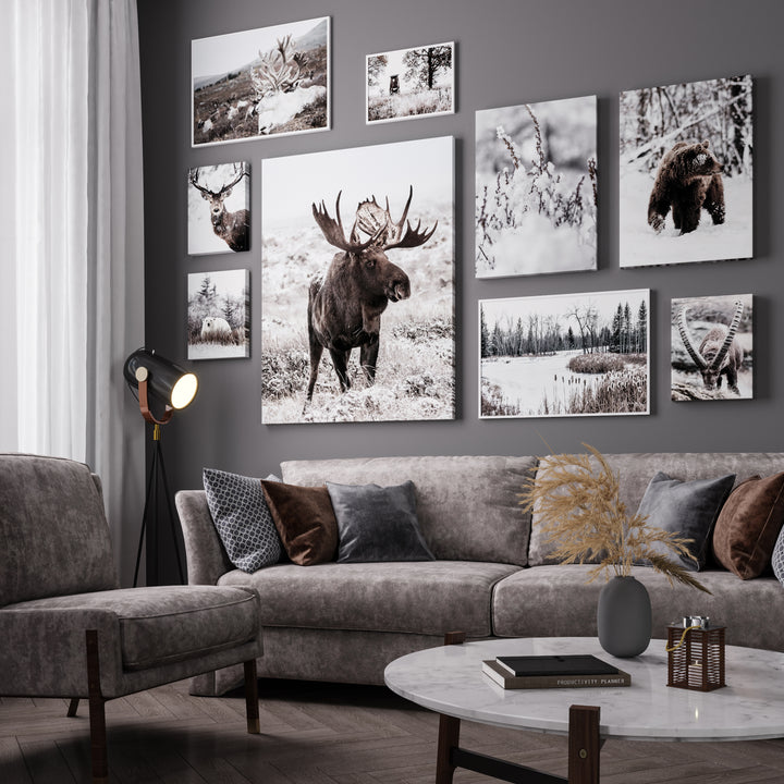 Poster - Polar