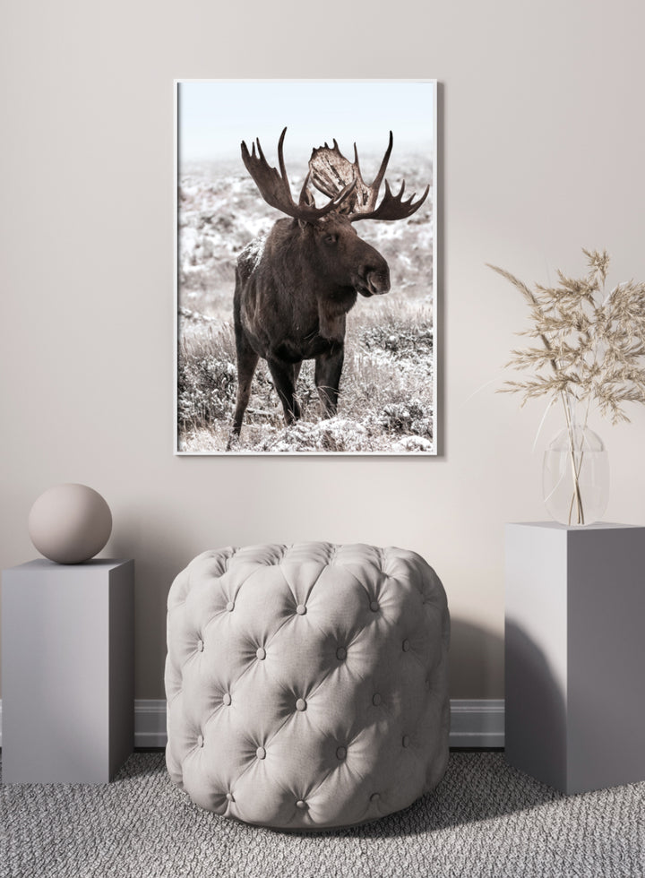 Poster - Moose