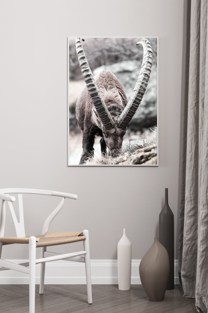 Poster - Bite