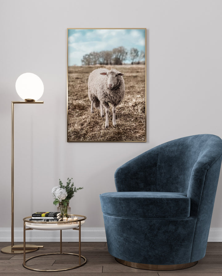Poster - Sheep