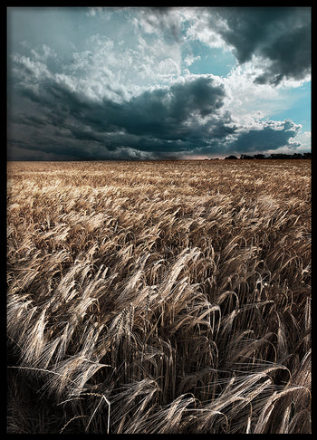 Poster - Field