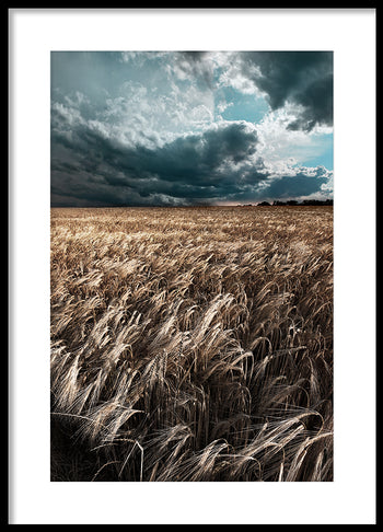 Poster - Field