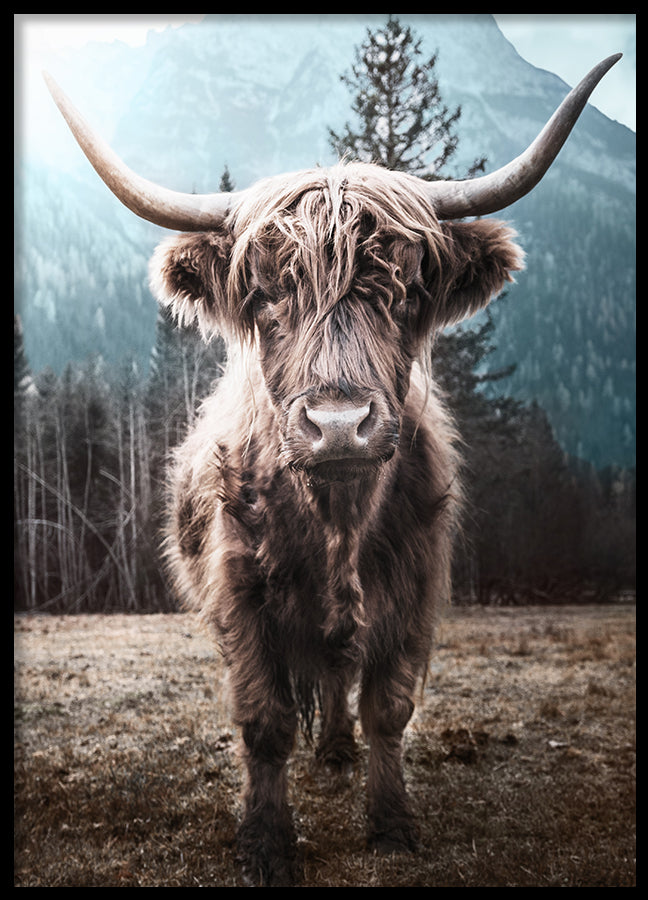 Poster - Horns
