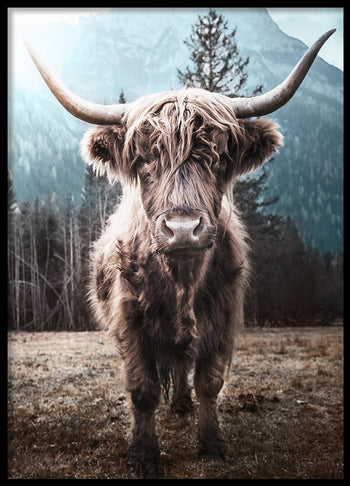 Poster - Horns