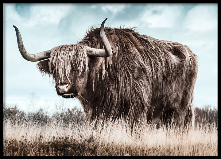Poster - Bangs