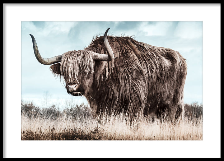 Poster - Bangs