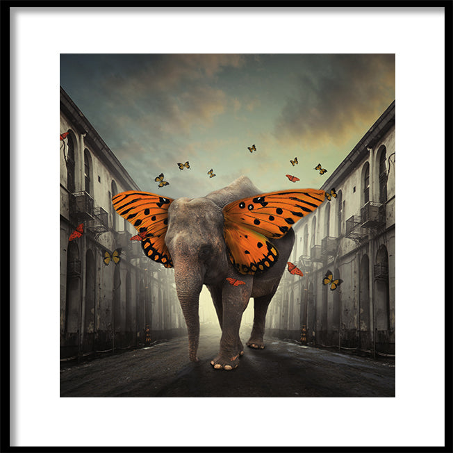 Poster - Dreams