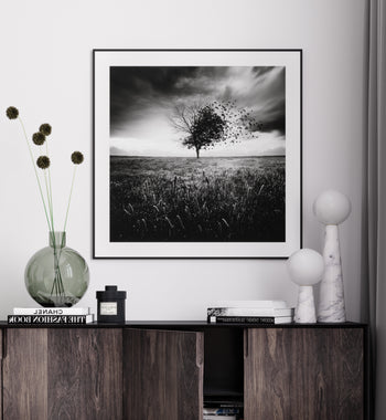 Poster - Fly Away