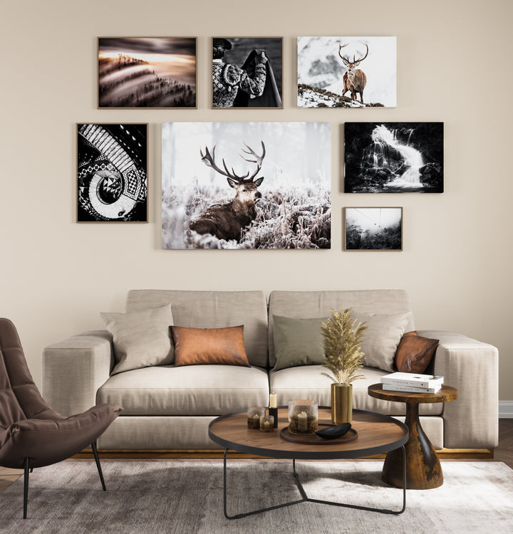Poster - Falls