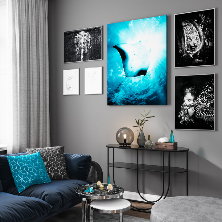 Poster - Sea Life