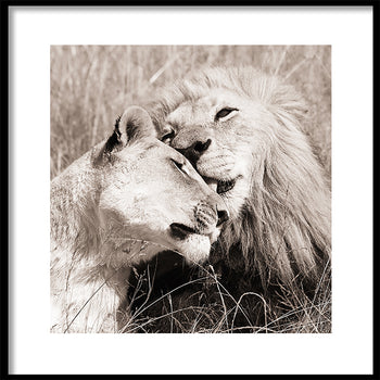 Poster - Together We are Strong
