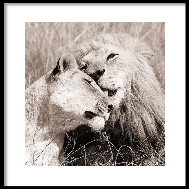 Poster - Together We are Strong