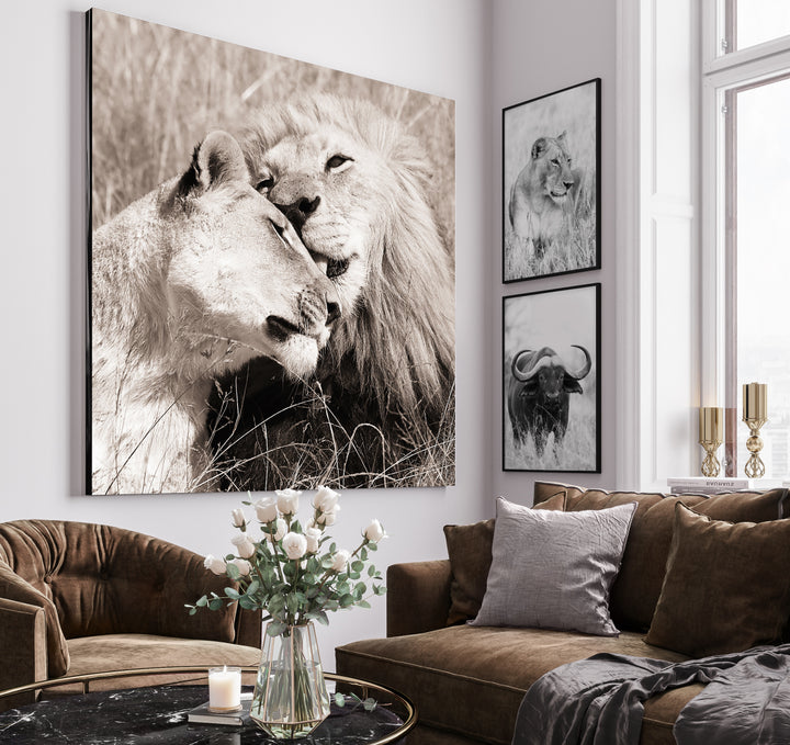 Poster - Lion Queen