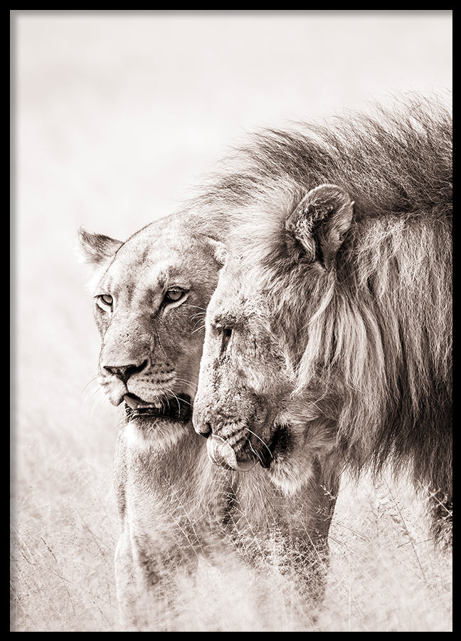 Poster - A King Will Always Protect His Queen