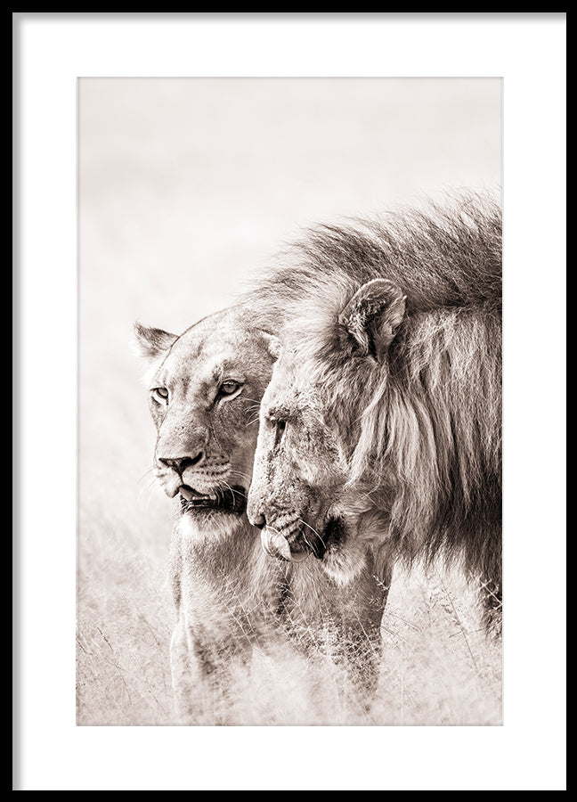 Poster - A King Will Always Protect His Queen