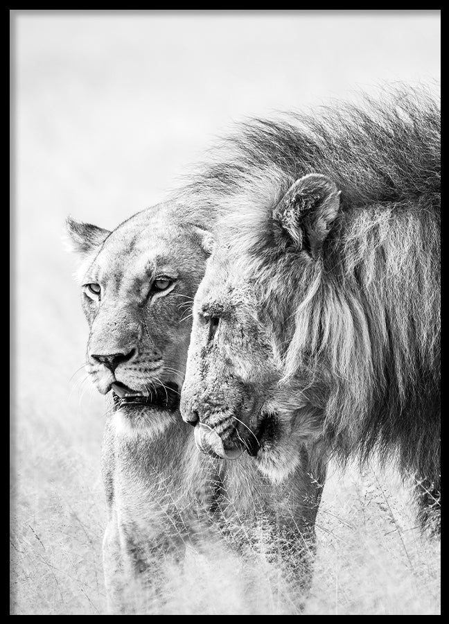 Poster - A King Will Always Protect His Queen | Gray
