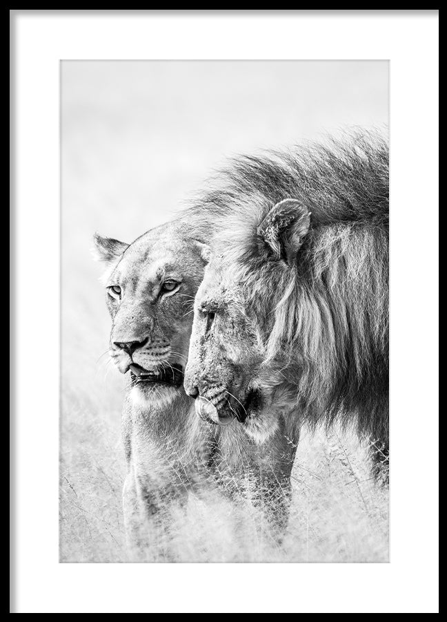 Poster - A King Will Always Protect His Queen | Gray