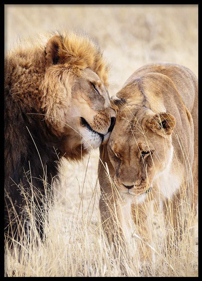 Poster - A King Only Bows Down to His Queen