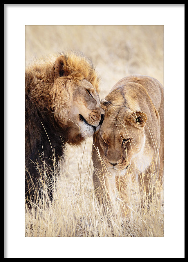 Poster - A King Only Bows Down to His Queen