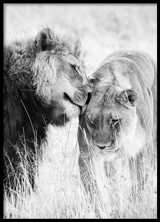 Poster - A King Only Bows Down to His Queen | Gray