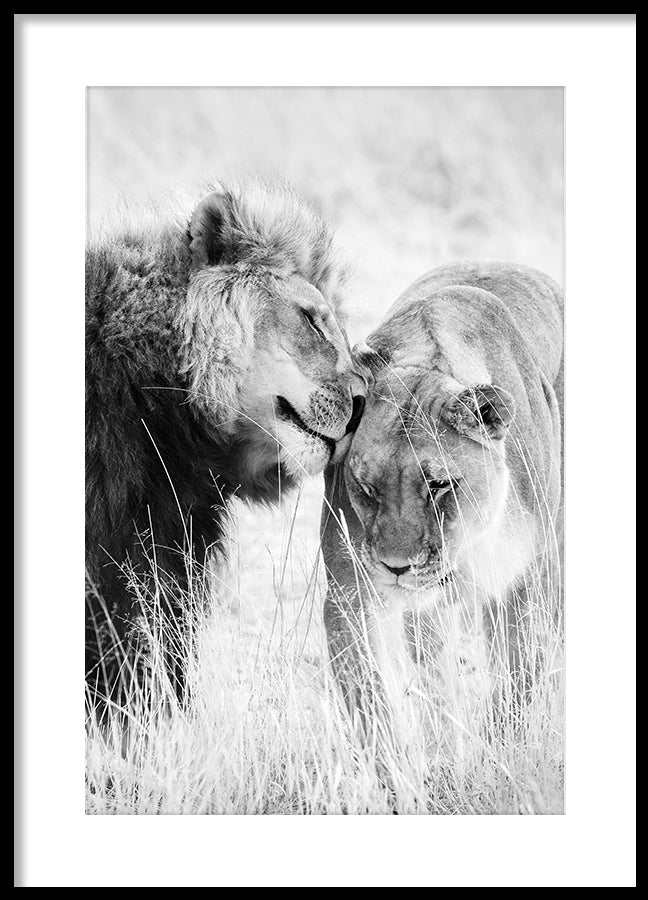 Poster - A King Only Bows Down to His Queen | Gray