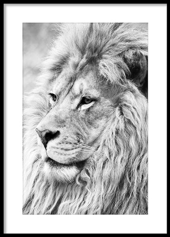 Poster - Lion King