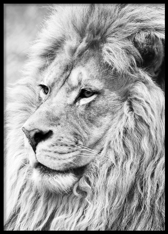 Poster - Lion King