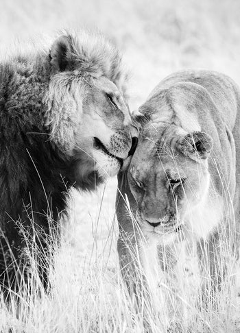 Canvastavla - A King Only Bows Down to His Queen | Gray