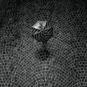 Canvastavla - Brolly