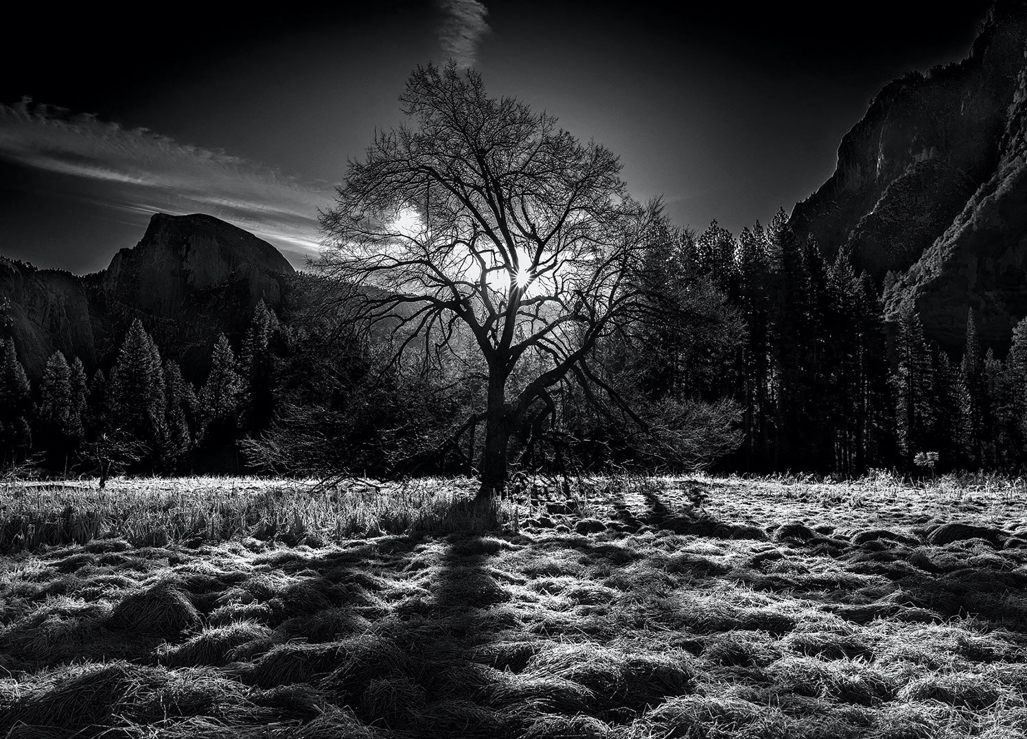 Canvastavla - Peaceful Nature