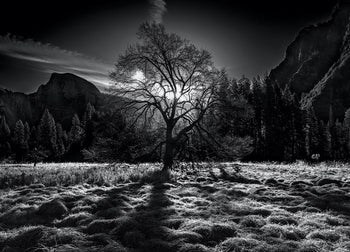 Canvastavla - Peaceful Nature