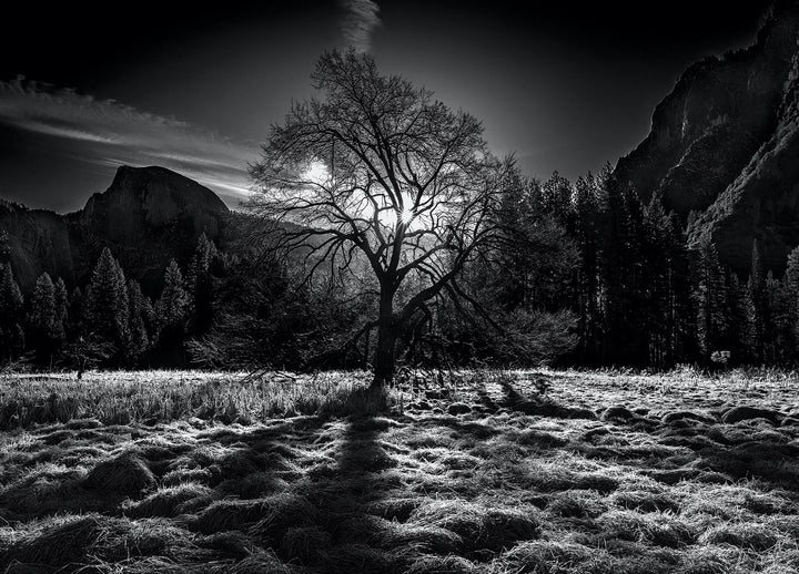 Canvastavla - Peaceful Nature