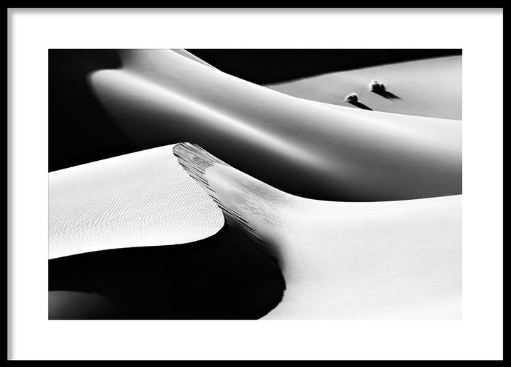 Poster - Sand Dune