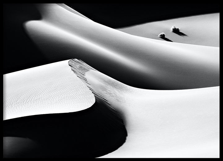 Poster - Sand Dune