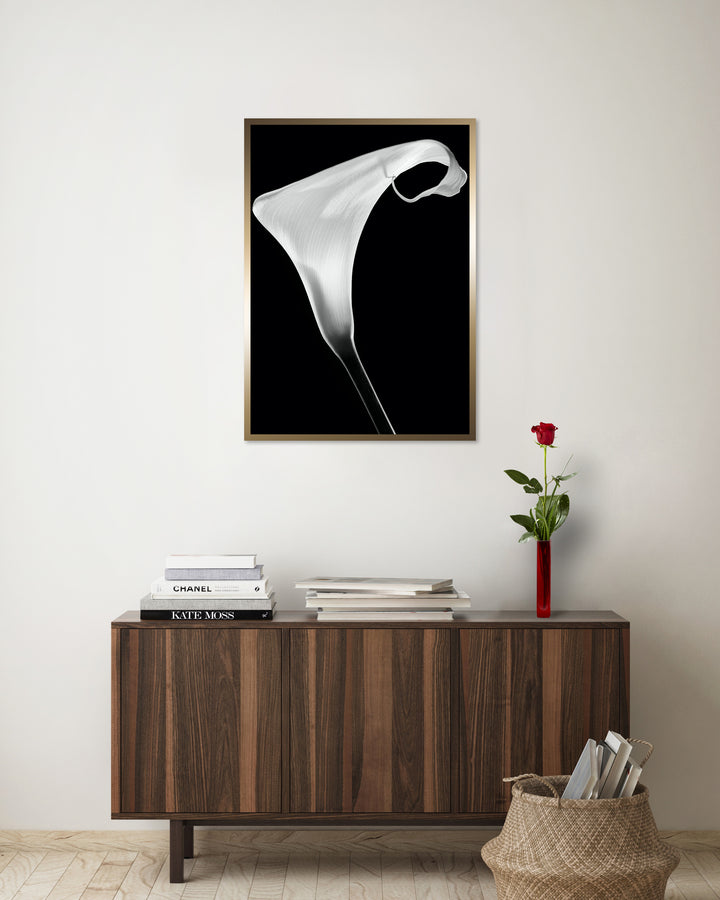 Poster - White Lily